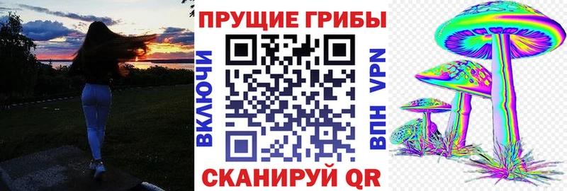 Псилоцибиновые грибы Psilocybine cubensis Канаш